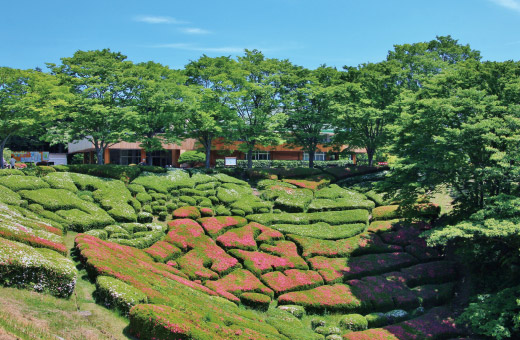 宮城県民の森 中央公園
車6分〜7分